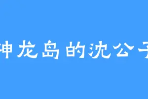 神龙岛的沈公子