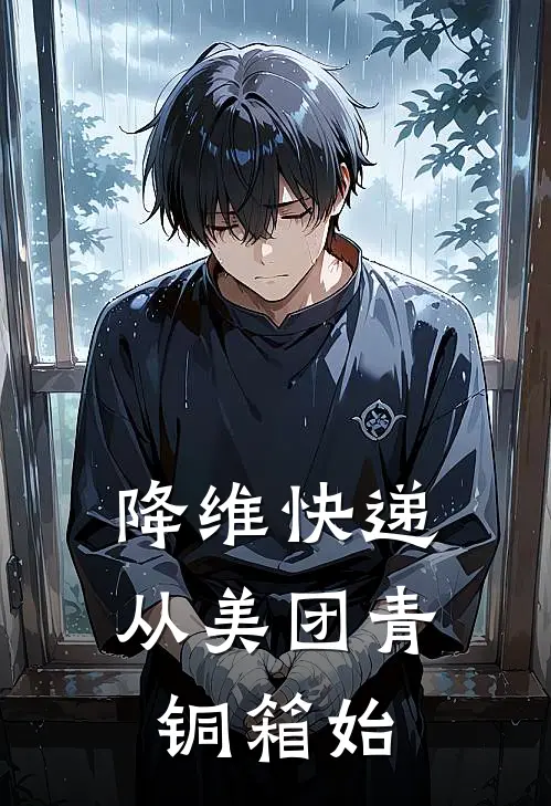 降维快递从美团青铜箱始