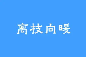 离枝向暖