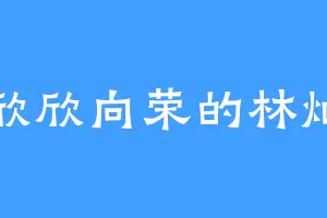 欣欣向荣的林灿